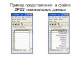 Пример представления в файле SPSS номинальных данных