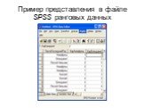 Пример представления в файле SPSS ранговых данных