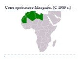 Союз арабского Магриба. (С 1989 г.)