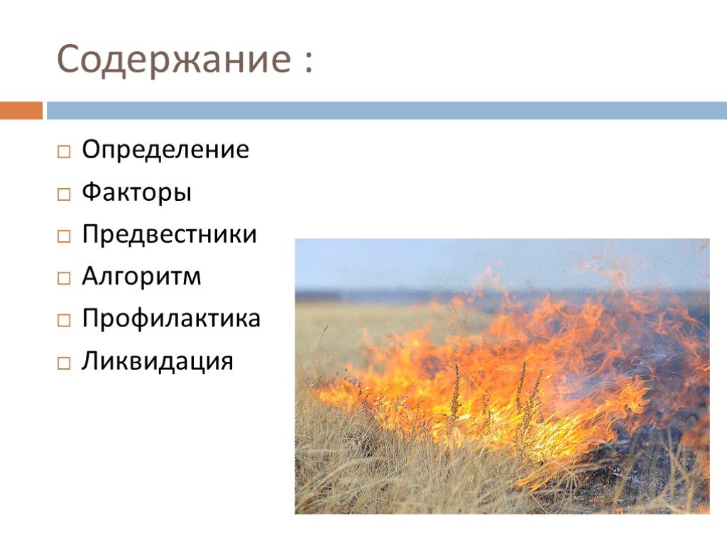 Степные пожары действия. Причины степных пожаров. Степные пожары презентация. Степной пожар предвестники. Стерпенные пожары причины.