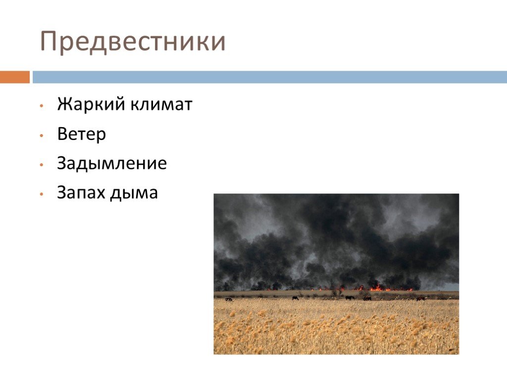 Поверхностный пожар. Степной пожар предвестники. Степные пожары презентация. Лесной пожар предвестники. Причины степных пожаров.