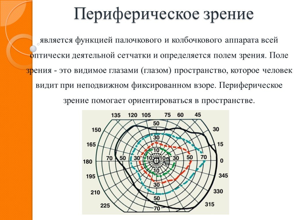 Периферийное зрение. Периферическое поле зрения. Исследование периферического зрения. Исследование периферического поля зрения. Функции периферического зрения.