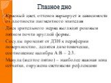 Глазное дно. Красный цвет, оттенок варьирует в зависимости от плотности пигментного эпителия Диск зрительного нерва выглядит розовым пятном почти круглой формы. Сосуды проходят от ДЗН к периферии поверхностно, делятся дихотомически, соотношение калибра А:В – 2:3. Макула (желтое пятно) – наиболее важ