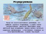 Когда на суше властвовали динозавры, а в небесах кружили птерозавры, в морях также господствовали рептилии. Некоторые виды рептилий еще во времена триаса начали питаться морскими организмами, и постепенно строение их тела приспособилось к жизни под водой. Морские рептилии