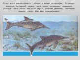 Лучше всего приспособились к жизни в океане ихтиозавры. Их расцвет пришелся на юрский период, когда теплое мелководье покрывало большую часть Земли. Это были первые морские рептилии, постоянно жившие в воде. Они были живородящими.