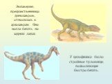 У целофизиса было стройное туловище, позволяющее быстро бегать. Эвпакерия, предшественница динозавров, относилась к архозаврам. Она могла бегать на задних лапах.