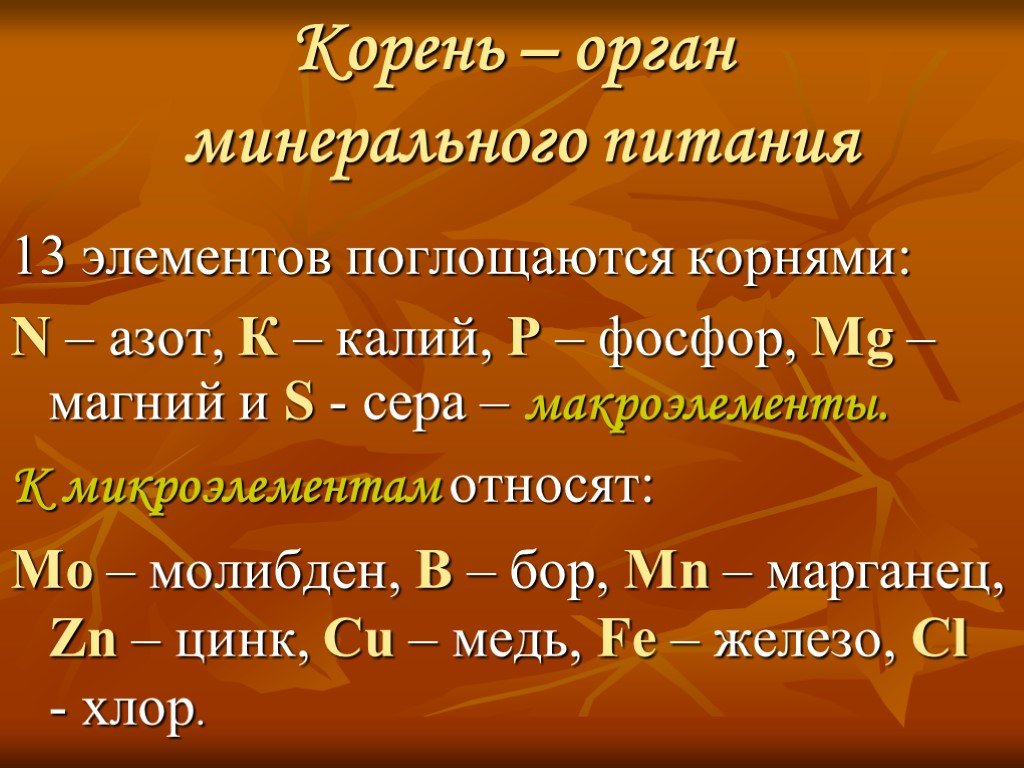 Азот фосфор сера. Орган минерального питания. Роль элементов минерального питания калий. Минеральное питание азот калий фосфор магния. К макроэлементам относятся азот.