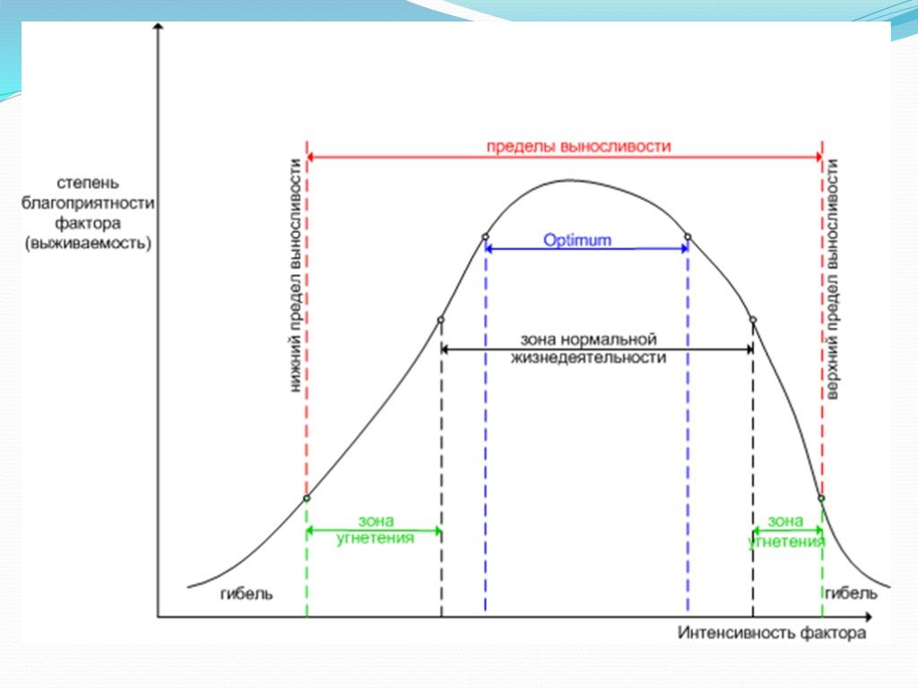 Пределы выносливости организма. Схема лимитирующего фактора. Закон экологического оптимума Шелфорда. Закон толерантности Шелфорда схема. Степень благоприятности фактора схема.