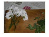 Как добиться изменения окраски лепестков цветка Слайд: 3
