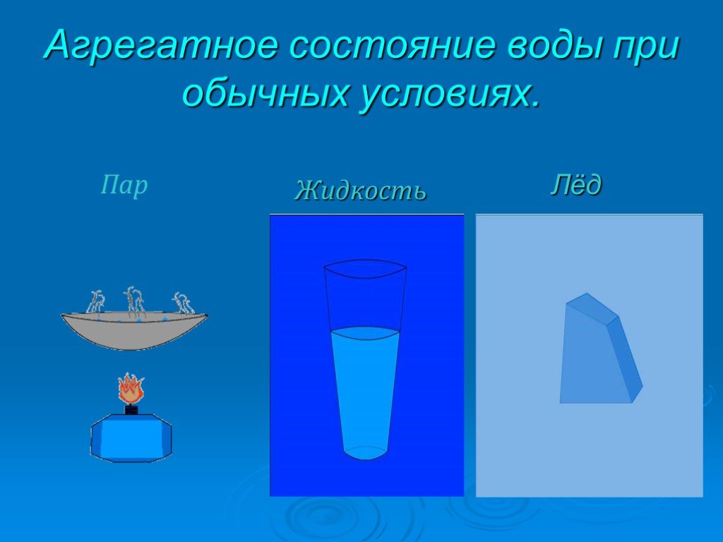 Жидкость и пар 10 класс презентация