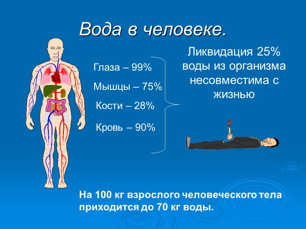 Картинки вода в организме человека