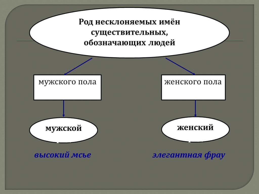 Презентация имя существительное 6 класс. Имя существительное 6 класс презентация.