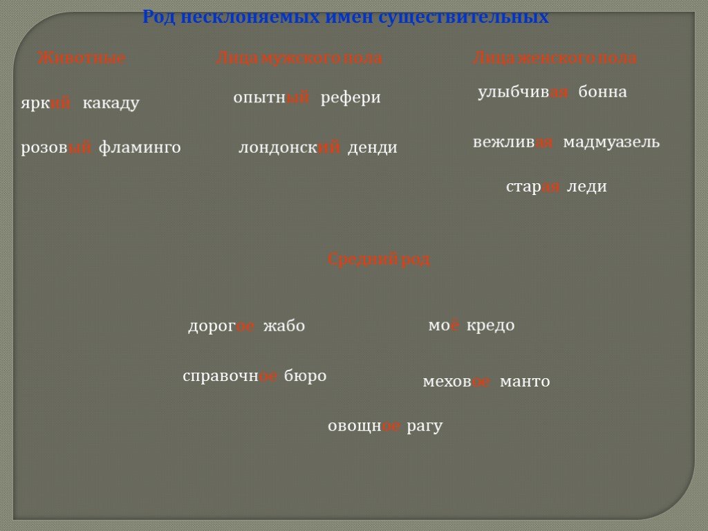 Презентация имя существительное 6 класс