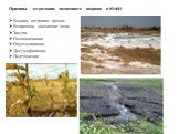 Причины деградации почвенного покрова в ЮФО Водная, ветровая эрозия Вторичное засоление почв Засуха Осолонцевание Опустынивание Дегумификация Подтопление