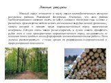 Южный округ относится к числу самых малообеспеченных лесными ресурсами районов Российской Федерации. Очевидно, что леса района эксплуатационного значения иметь не могут, однако в последние годы в связи с развитием производства мебели велись интенсивные вырубки ценной древесины, запасы которой в нижн