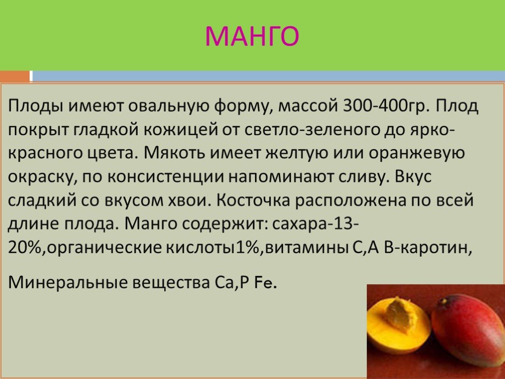 Манго полезные свойства и противопоказания для женщин. Плод манго. Манго доклад. Плод манго и вкус. Чем полезно манго для организма.