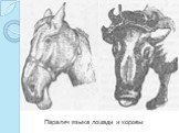 Паралич языка лошади и коровы