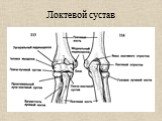 Локтевой сустав