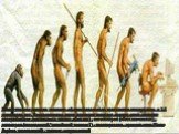 Биологическая природа человека сформировалась на протяжении длительного, в 2,5 миллиарда лет. Возрастающая линия эволюции человека прошла такие ступени: австралопитек (ископаемая южная обезьяна) - питекантроп (обезьяночеловек) - синантроп (ископаемый "китайский человек") - неандерталец - к