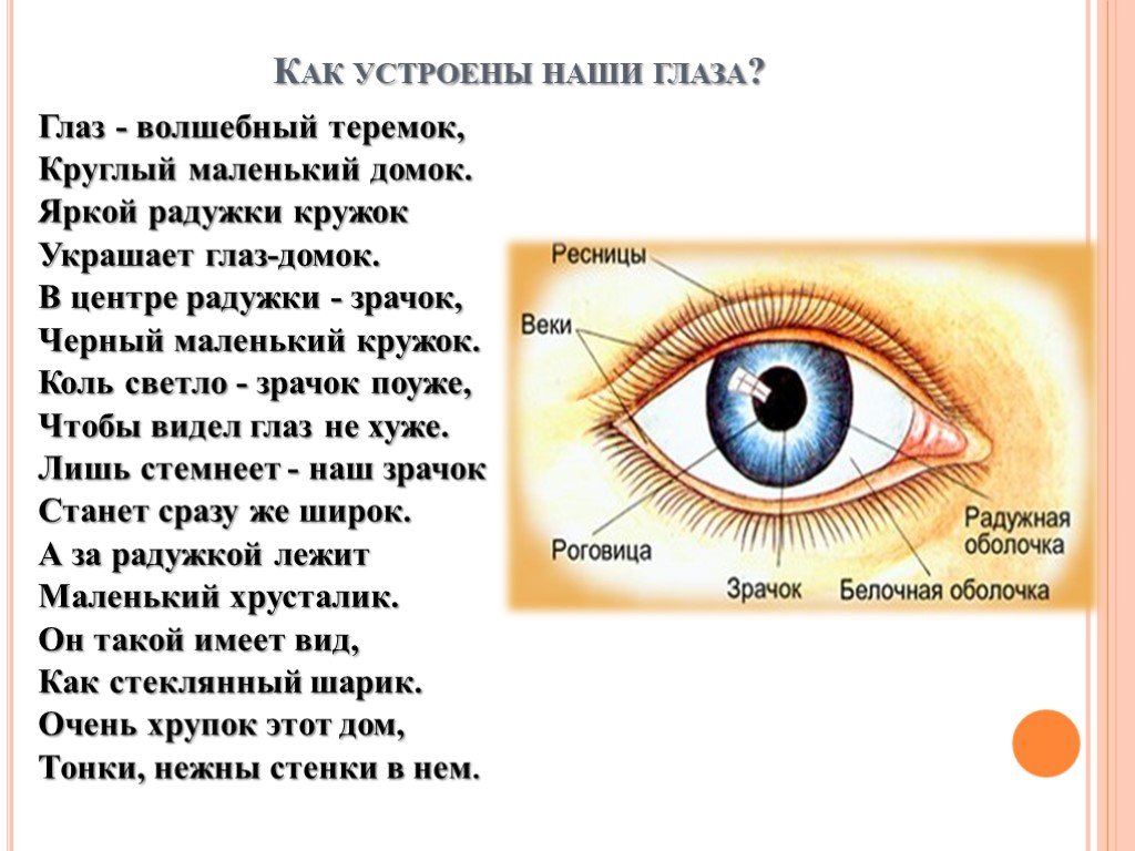 Глаза презентация 1 класс