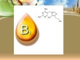 Тиамин (витамин B1) Слайд: 5