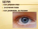 Цели: как устроен глаз значение глаза как ухаживать за глазами