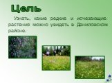Узнать, какие редкие и исчезающие растения можно увидеть в Даниловском районе. Цель