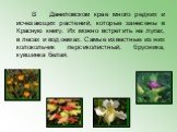 В Даниловском крае много редких и исчезающих растений, которые занесены в Красную книгу. Их можно встретить на лугах, в лесах и водоемах. Самые известные из них колокольчик персиколистный, брусника, кувшинка белая.