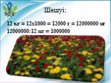 Шешуі: 12 кг = 12х1000 = 12000 г = 12000000 мг 12000000:12 мг = 1000000