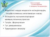 Биологиядан олимпиаданың 1-кезеңінің тапсырмалары. Жергілікті жерде кездесетін өсімдіктердің морфологиялық сипаттамасын жасау: Өсімдіктің ғылыми атауларын қазақша,латынша,орысша Гүлдің формуласын Гүл диаграммасы Тұқымдасын анықтау