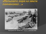 «Полыхало горе на земле локнянской…». Расстрелянные фашистами мирные советские люди.