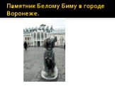 Памятник Белому Биму в городе Воронеже.