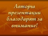 Авторы презентации благодарят за внимание!