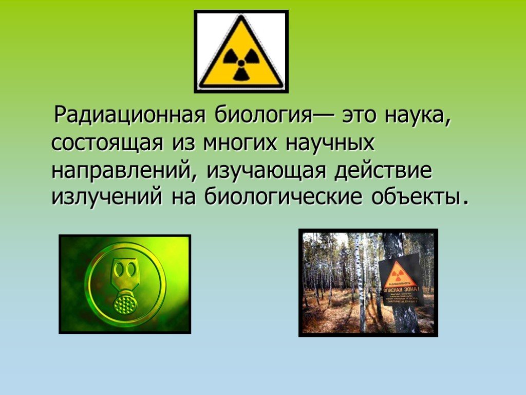 Действие радиации презентация. Радиация в биологии. Биологическое воздействие радиации. Презентация на тему биологическое воздействие радиации. Биологическое влияние радиации на живые организмы.