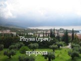 Physis (греч) - природа