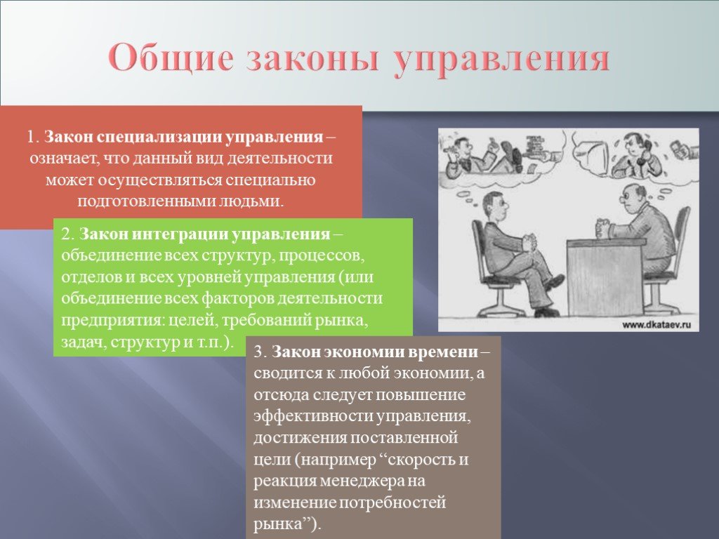 Том что данный вид. Законы управления. Общие законы управления. Общие законы управления в менеджменте. Закон специализации управления.