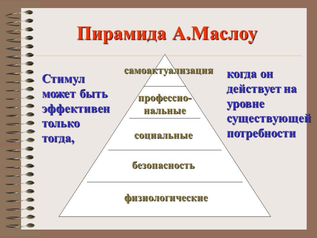 Пирамида маслоу самоактуализация