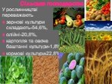 У рослинництві переважають зернові культури складають-54,6%, олійні-20,8%, картопля та овоче баштанні культури-1,8%, кормові культури-22,8%