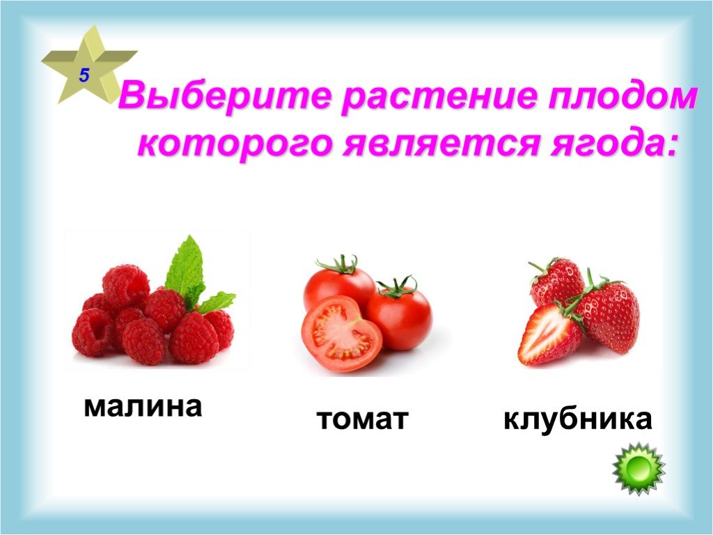 Какие овощи являются ягодами. Плод ягода. Плоды растений которые являются ягодами. Плод какого растения является ягодой. Ягодные плоды примеры.