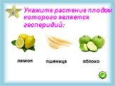 2. Укажите растение плодом которого является гесперидий: лимон пшеница яблоко