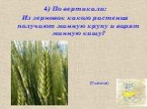 4) По вертикали: Из зерновок какого растения получают манную крупу и варят манную кашу? (Пшеница).