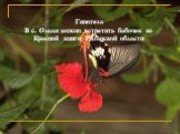 Гипотеза В с. Ольхи можно встретить бабочек из Красной книги Рязанской области