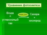 Вода + углекислый газ. Сахара + кислород Энергия света