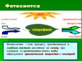 Фотосинтез. Фотосинтез – это процесс, протекающий в зелёных листьях растений на свету, при котором из углекислого газа и воды образуются органические вещества и кислород.