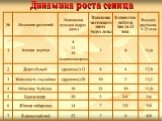 Динамика роста сеянца