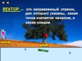 НАЧАЛО КОНЕЦ А В ВЕКТОР ВЕКТОР —. это направленный отрезок, для которого указаны, какая точка считается началом, а какая концом