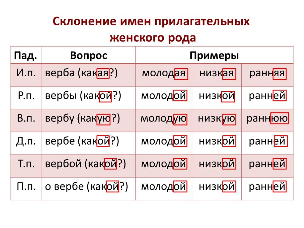 Склоняемый. Склонение прилагательных женского рода. Склонение имён прилагательных женскогорода. Склонение прилагательных в русском языке таблица 4 класс. Склонение прилагательных среднего рода в русском языке таблица.