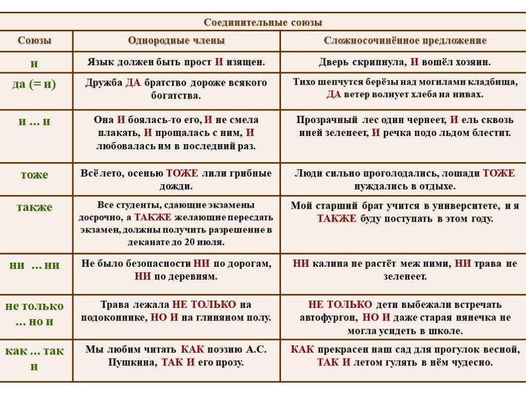 Сложное предложение с словом литература