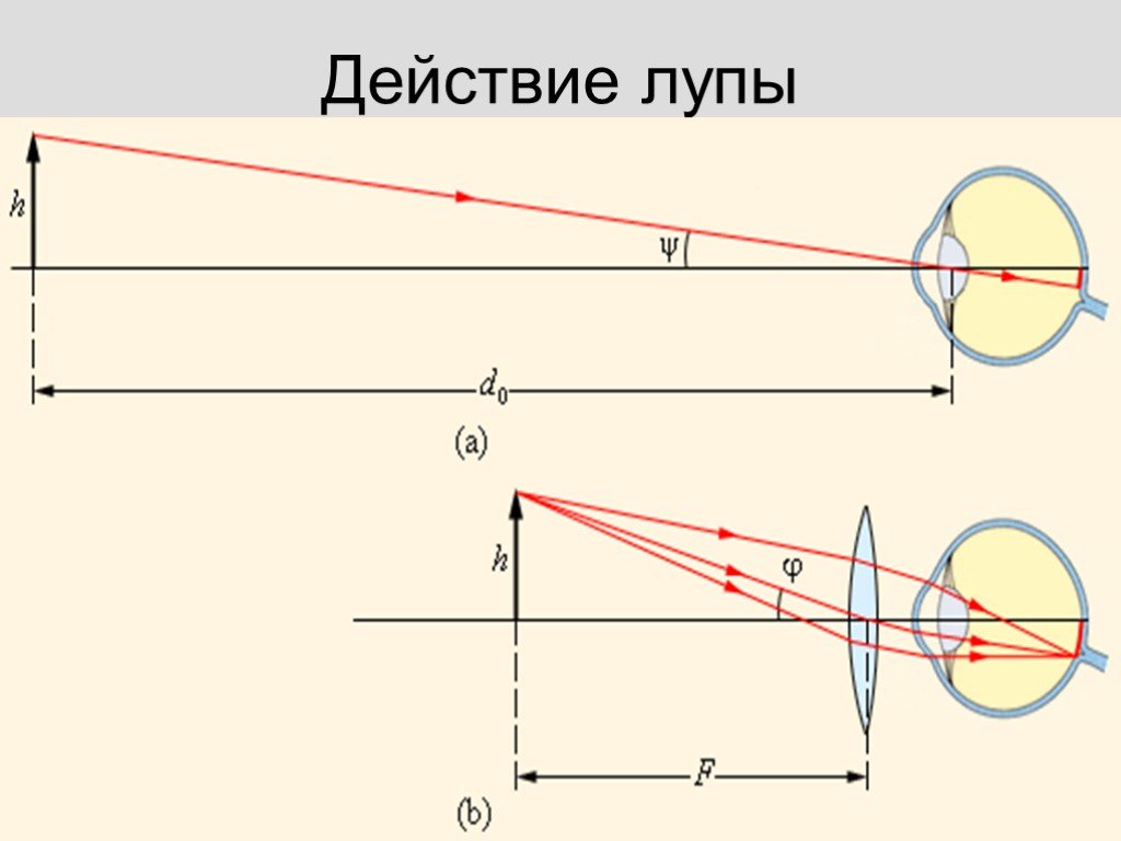 Схема лупы физика