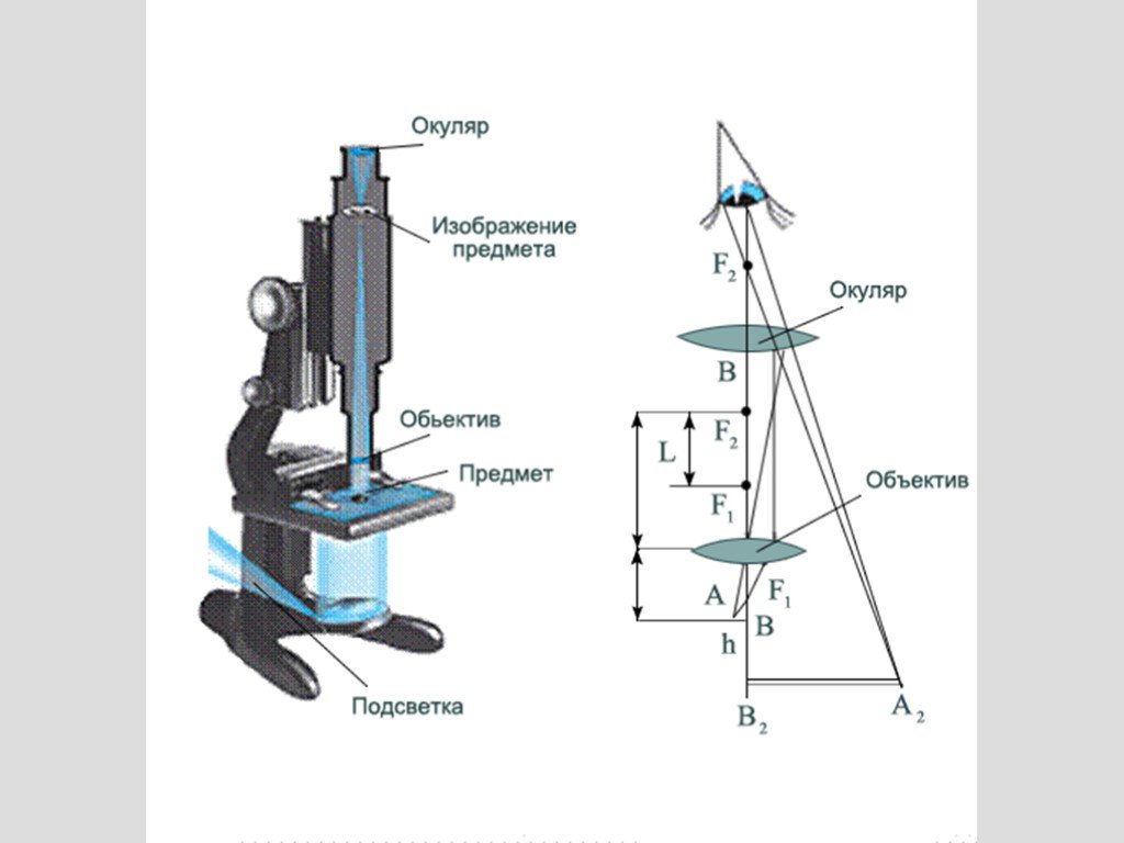 Изображение в микроскопе физика